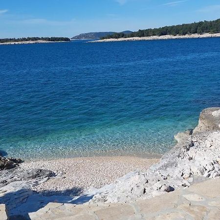 Apartment Jura Bilo Primošten Dış mekan fotoğraf