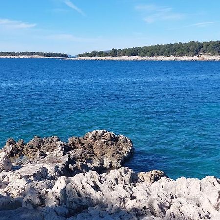 Apartment Jura Bilo Primošten Dış mekan fotoğraf